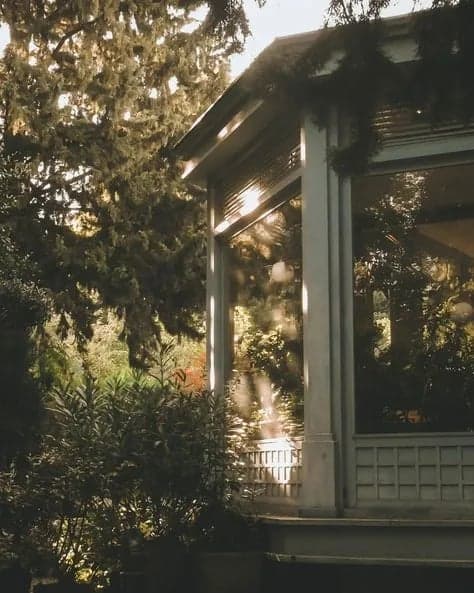 1981 Kodak — frame 1
