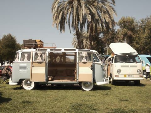 Two vintage Volkswagen vans parked on green grass under palm trees, with one van's door open.