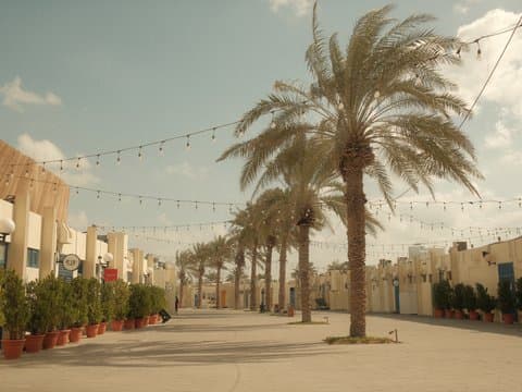 A sunny street lined with palm trees and decorative lights, leading to buildings in a warm atmosphere.