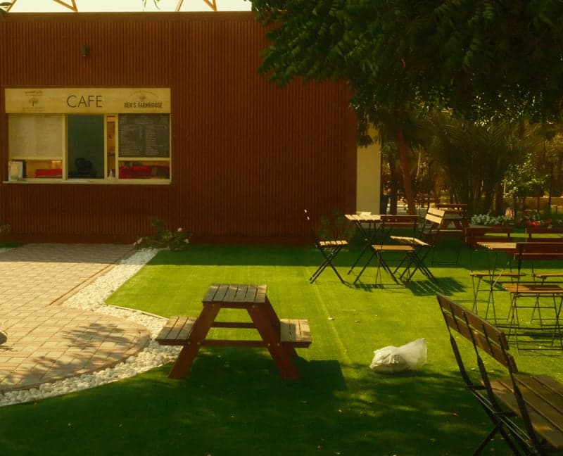 A sunny outdoor cafe scene with picnic tables and chairs on green grass.