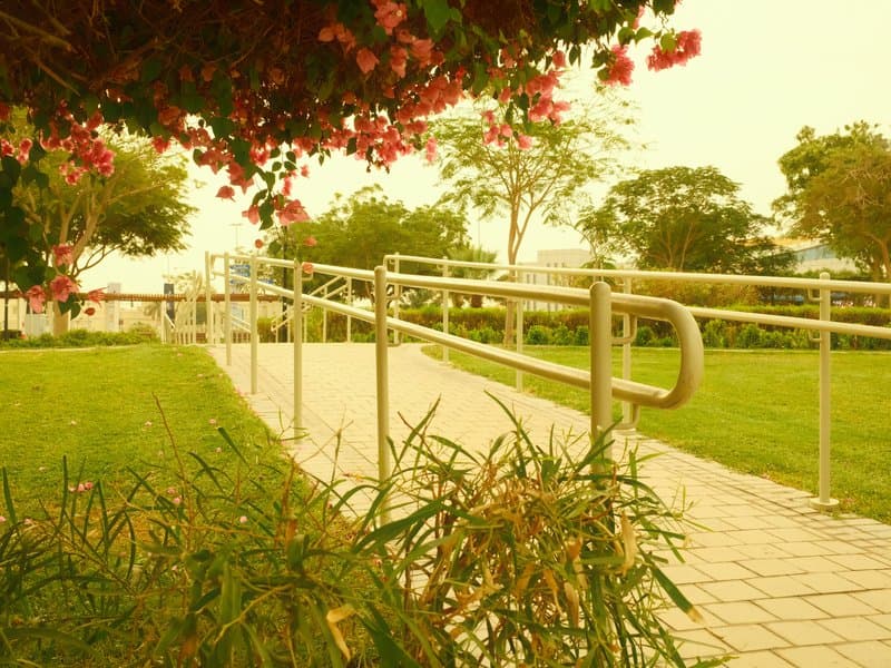 A ramp leading through a park with blooming flowers and lush greenery under warm lighting.