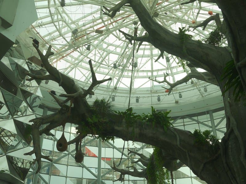 A large indoor tree with branches reaching towards a glass ceiling, surrounded by modern architecture.