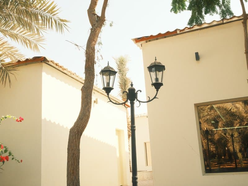 A street lamp beside a tree and white buildings under bright sunlight.
