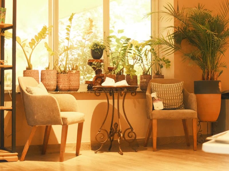 Cozy indoor seating area with two chairs and potted plants by a large window.