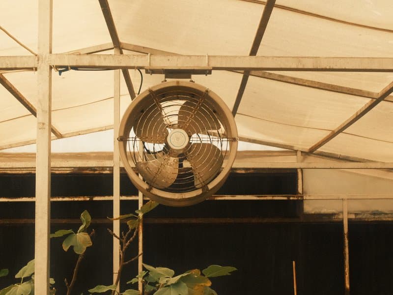 An old ceiling fan hanging in a greenhouse with a rustic metal frame and plants below.