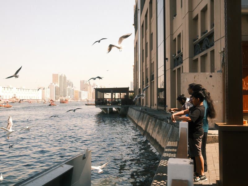 Three people standing by a waterfront, watching birds fly over the water with buildings in the background.