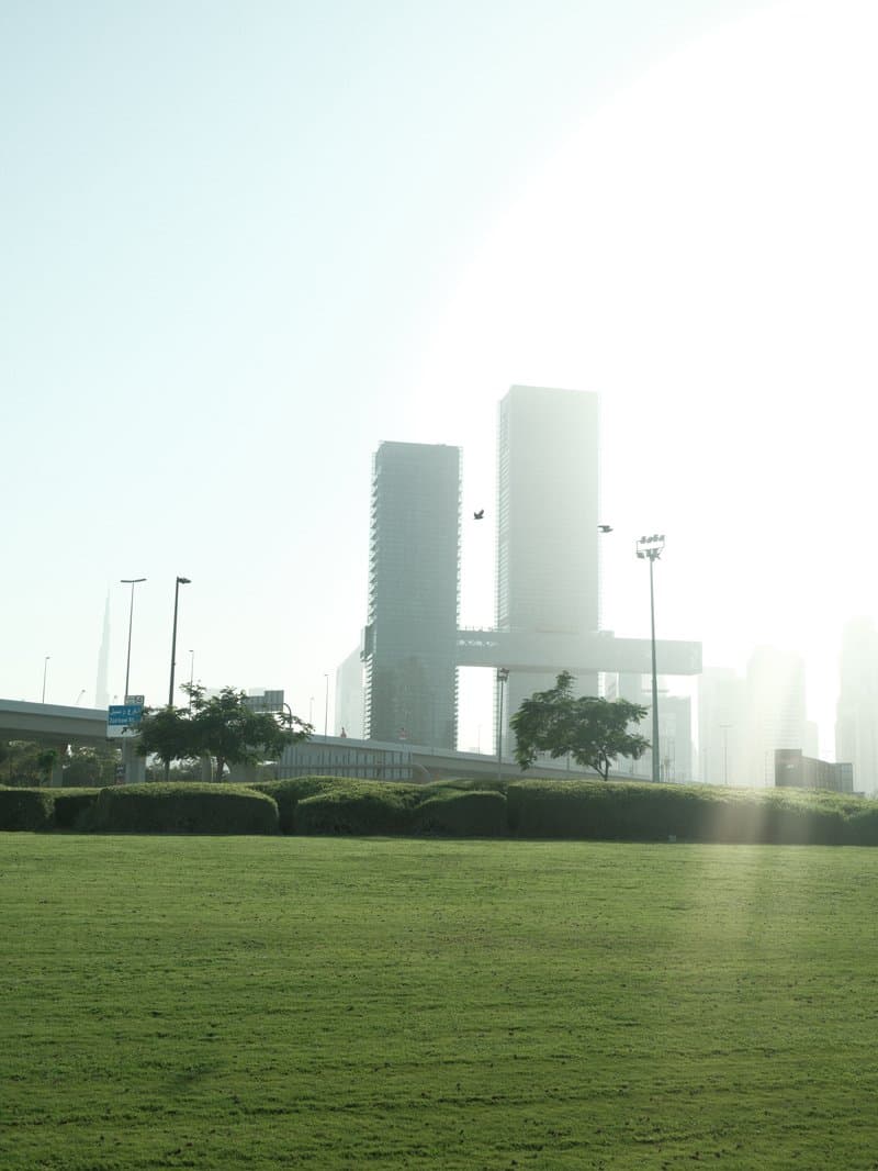 Two tall buildings partially obscured by bright sunlight, with green grass in the foreground.