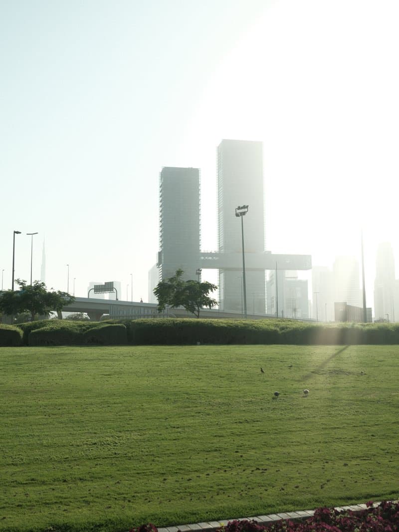 Silhouetted modern buildings against a bright sky, with green grass in the foreground.