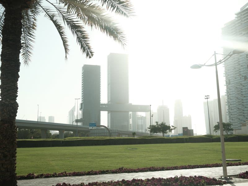 Silhouetted skyscrapers against a bright, hazy sky with palm trees in the foreground.