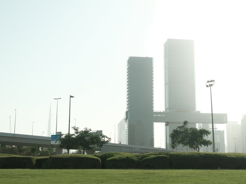Tall modern buildings shrouded in haze with green bushes in the foreground.