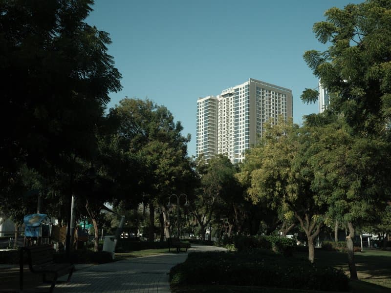 A park scene with tall trees and a modern building in the background under a clear blue sky.