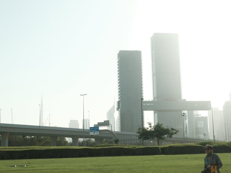 Silhouetted skyscrapers against a hazy sky with green grass in the foreground.