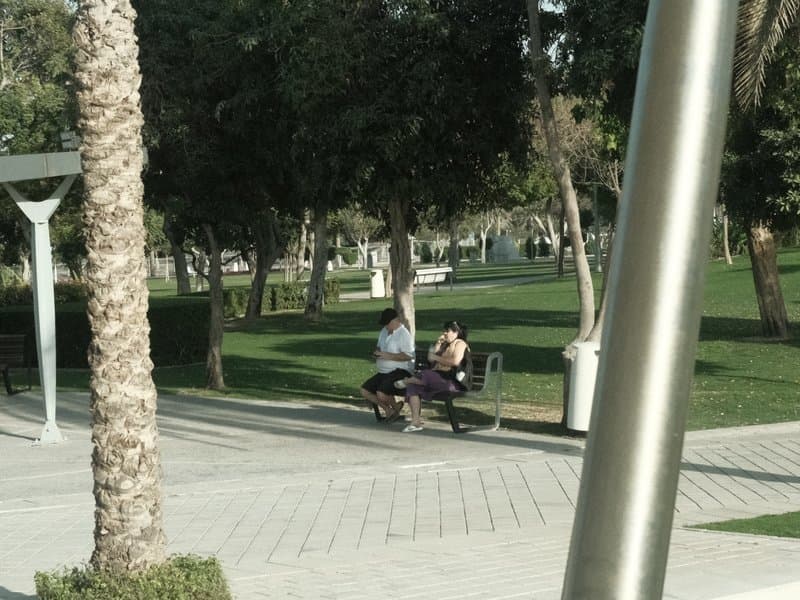 Two people sitting on a bench in a park surrounded by trees and green grass.