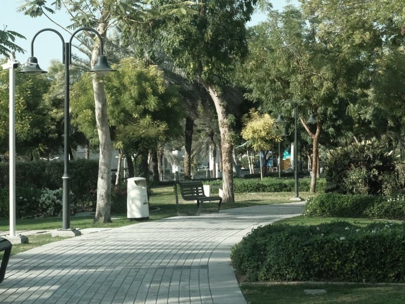 A serene park pathway lined with trees and benches under clear skies.