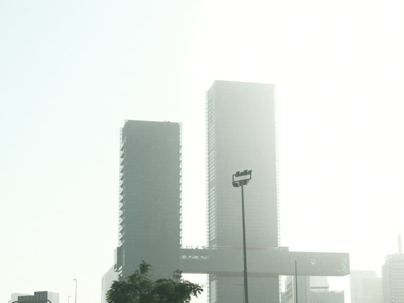Two tall buildings partially obscured by fog, with a tree in the foreground.