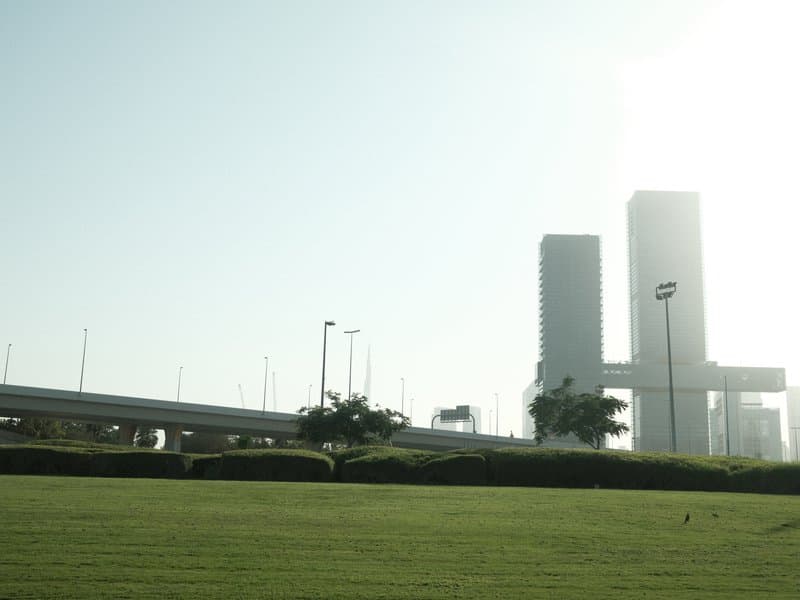 Silhouette of modern buildings against a bright sky, with green grass in the foreground.