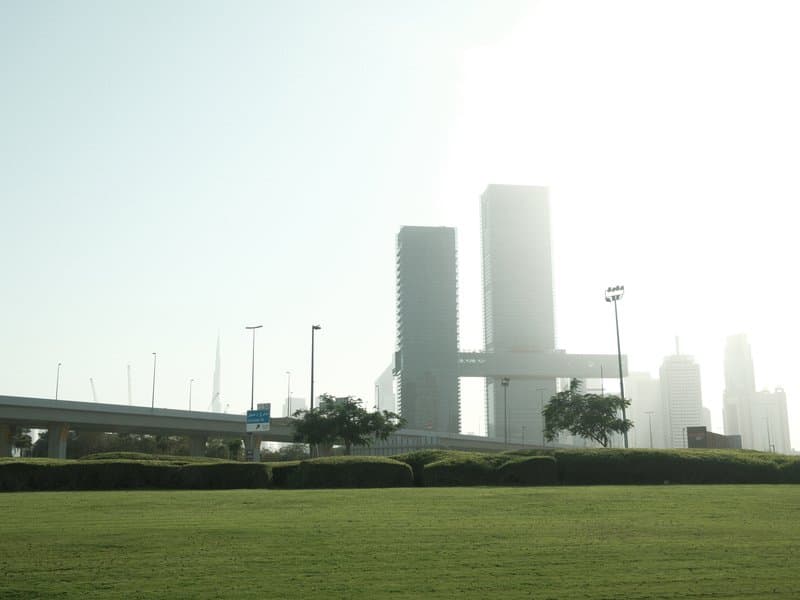 Silhouetted skyscrapers against a bright sky with a grassy foreground.