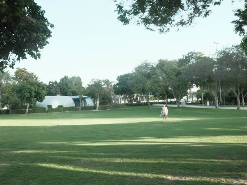 A person walking on a grassy field surrounded by trees and buildings under a clear sky.