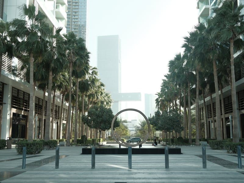 A modern urban plaza lined with palm trees and a circular sculpture, surrounded by tall buildings.