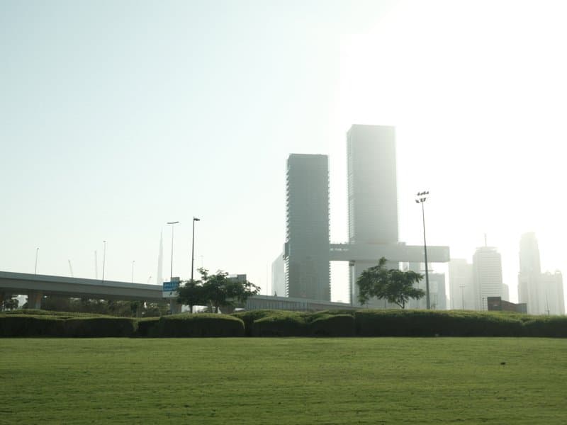 Silhouetted skyscrapers against a bright sky with a grassy foreground.