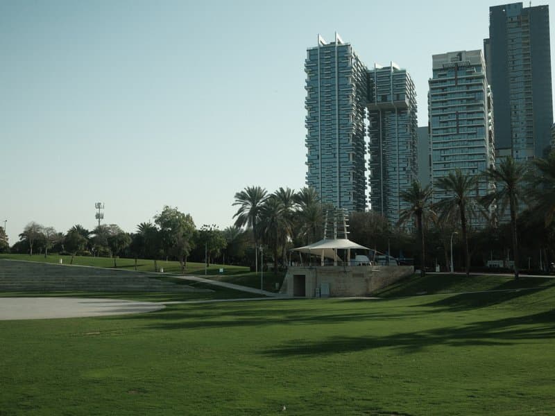A green park area with palm trees and modern skyscrapers in the background under a clear sky.