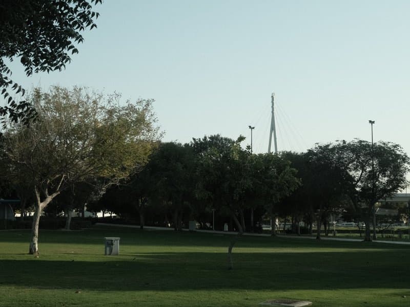 A park scene with trees and a distant bridge structure under a clear sky.
