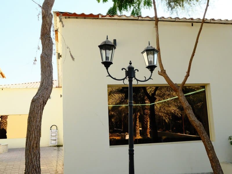 A street lamp beside a white building with a large window reflecting trees.