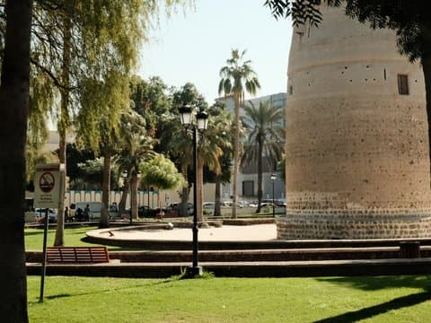 A historic tower surrounded by palm trees and green grass in a sunny park setting.