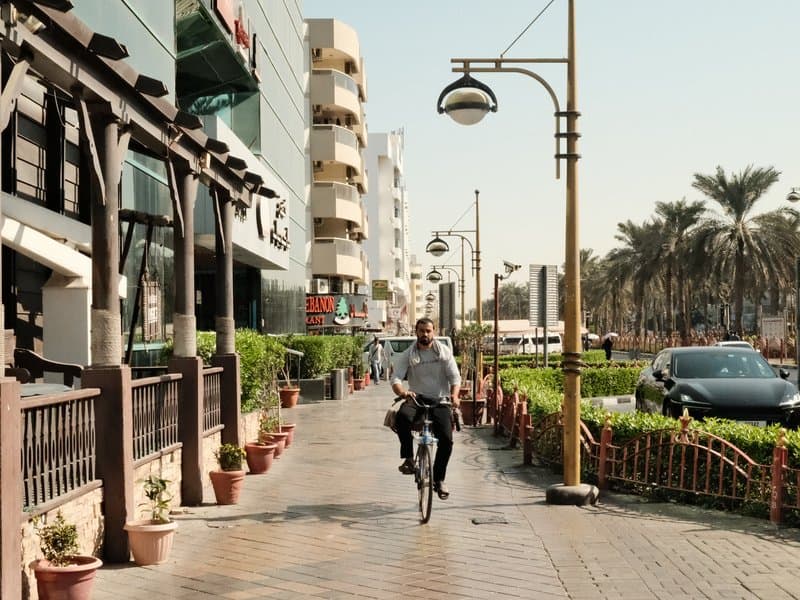 A cyclist rides along a sunny urban street lined with palm trees and modern buildings.