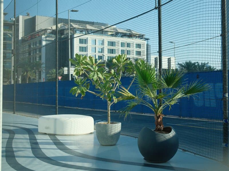 Two potted plants on a modern balcony with a blue construction fence in the background.