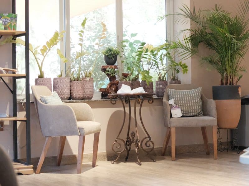 Cozy indoor seating area with two chairs and a small table surrounded by potted plants.