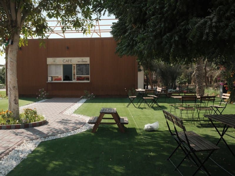 A serene outdoor café setting with wooden tables and benches surrounded by greenery.
