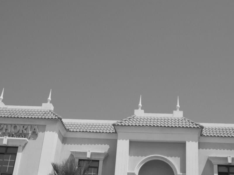 A monochrome image of a building's architectural details against a clear sky.