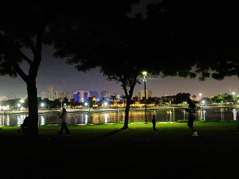 Night scene of a park with silhouetted trees and people walking by a lake, city skyline in the background.