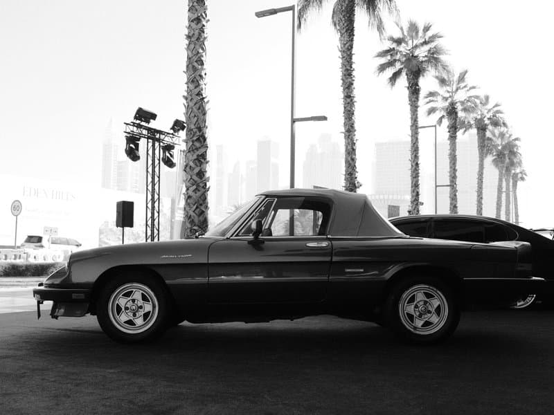 A classic convertible car parked beside palm trees with a city skyline in the background.