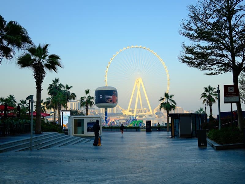 A scenic view of a waterfront promenade with palm trees and a large illuminated ferris wheel in the background.