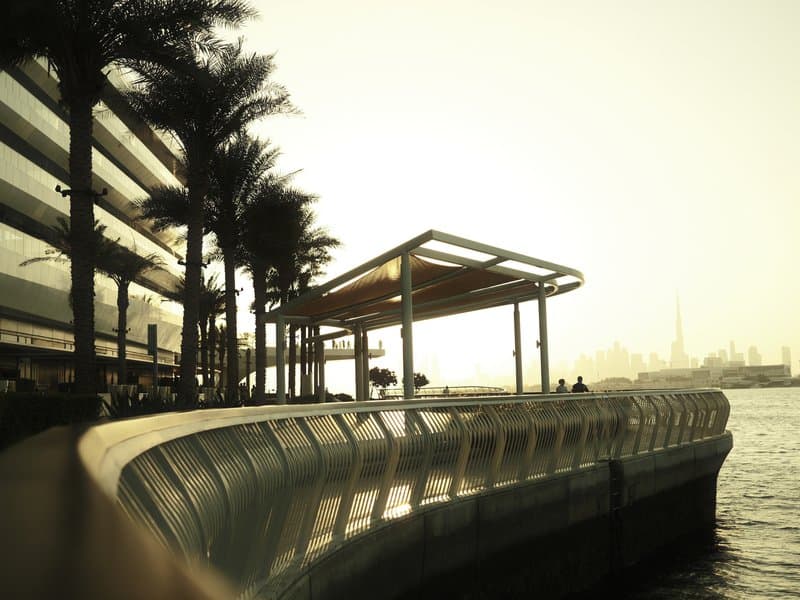 Curved waterfront walkway with palm trees and a building, bathed in warm golden light.