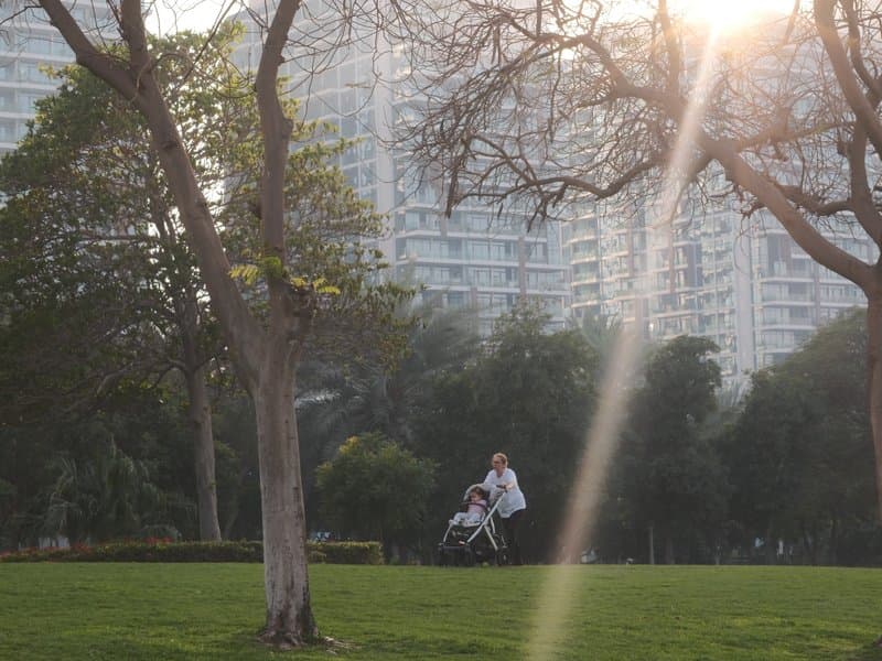 A woman pushing a stroller in a park with tall buildings in the background and sunlight filtering through trees.
