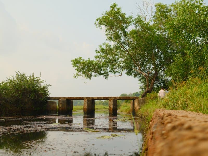A serene landscape featuring a stone bridge over a calm water body, surrounded by lush greenery.