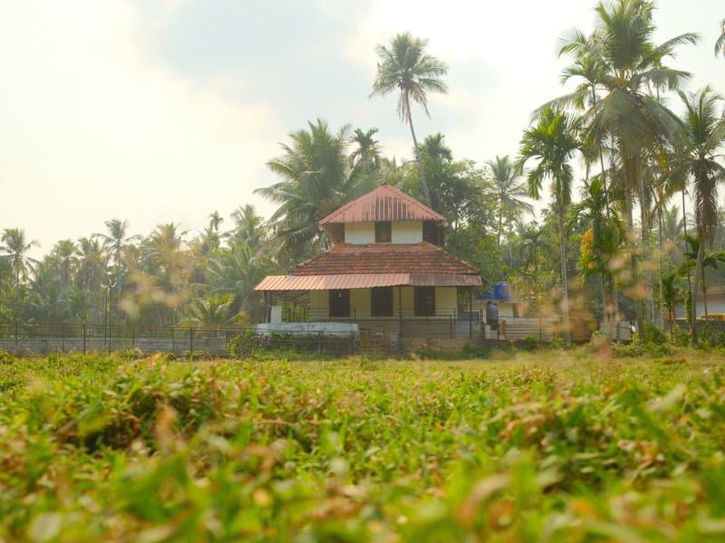 A traditional house surrounded by lush greenery and palm trees under a bright sky.