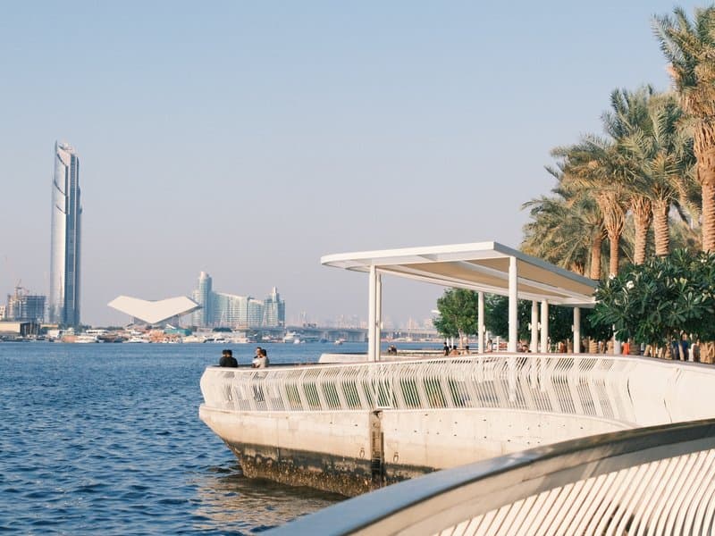 A waterfront scene featuring a modern skyline with palm trees and a walkway along the water.