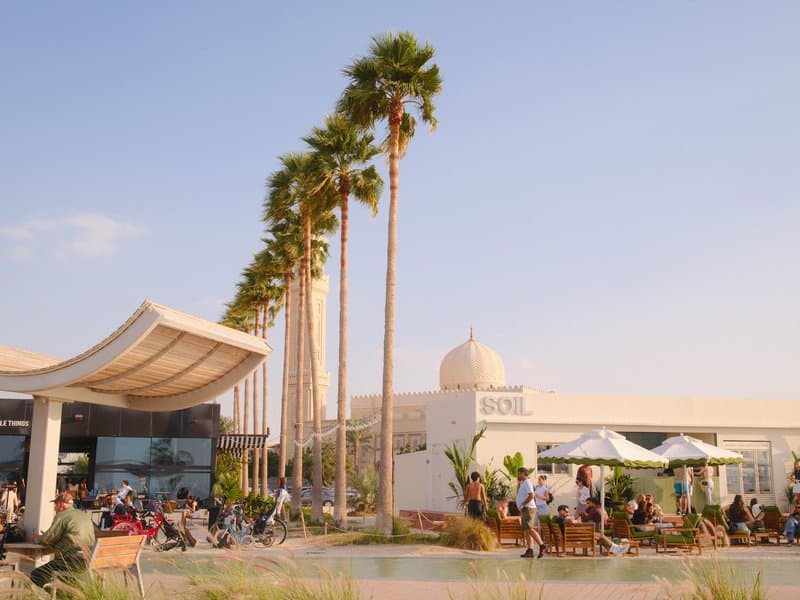 Outdoor scene with palm trees, people sitting at tables, and a building in the background under a clear sky.