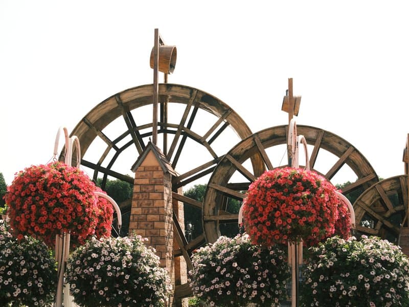 A decorative garden scene featuring large floral arrangements and water wheels in the background.