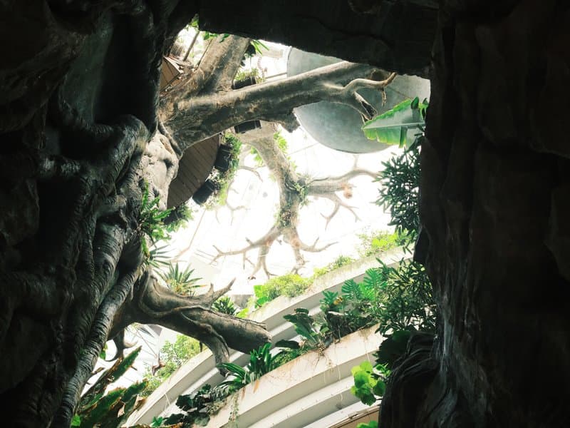 View looking up through a natural structure with greenery and architectural elements above.