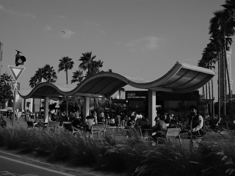 A bustling outdoor café scene with palm trees and a wavy canopy structure, filled with patrons enjoying their time.