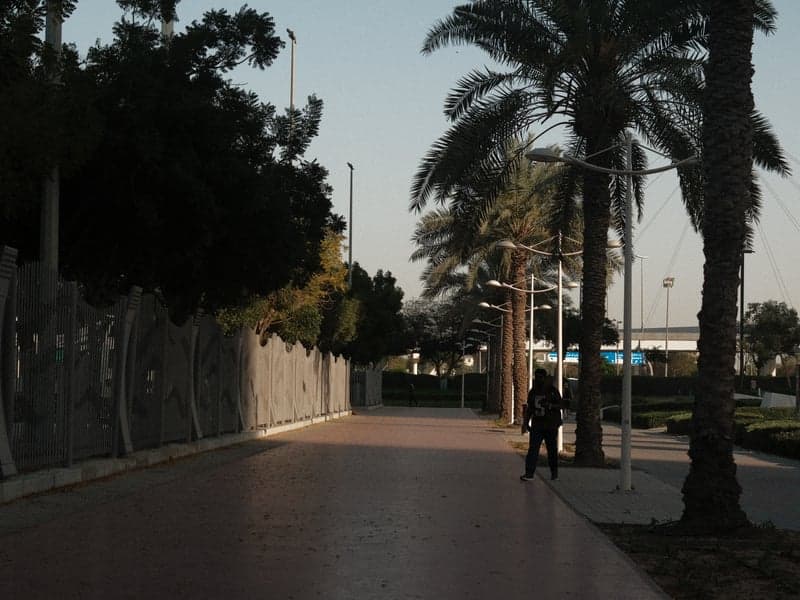 A solitary figure walking along a palm-lined pathway during the evening with a textured wall in the background.