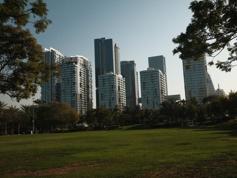 City skyline with modern skyscrapers behind a green park under a clear blue sky.