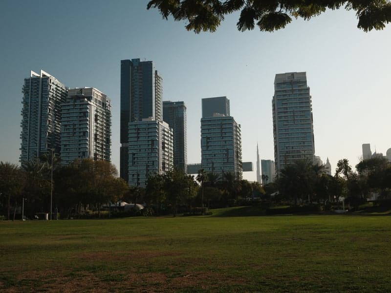 A skyline of modern skyscrapers viewed from a green park under a clear sky.