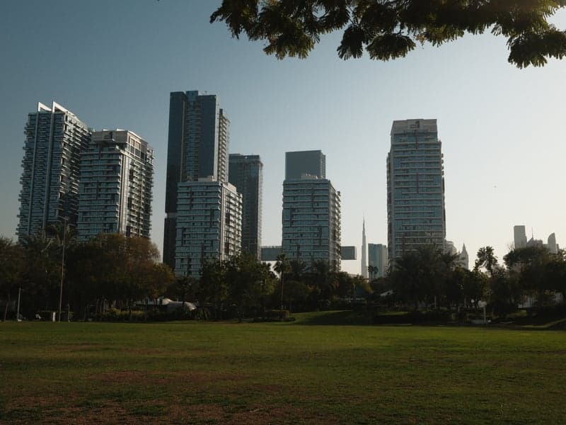 City skyline with modern buildings against a clear sky, viewed from a green park.