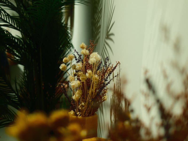 A soft-focus arrangement of dried flowers in a vase, surrounded by greenery.